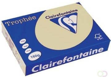 Clairefontaine TrophÃÂ©e Pastel A4 160 g 250 vel gems